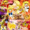 sailorvenus41_t1.jpg